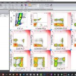 venturione flow cytometry data analysis software tutorial